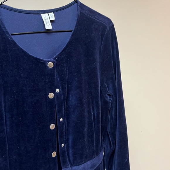 Blue Velvet & Other Stories Dress - Picture 4 of 5